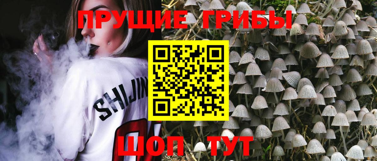 Апатиты  Псилоцибиновые грибы прущие грибы  Вход с VPN 